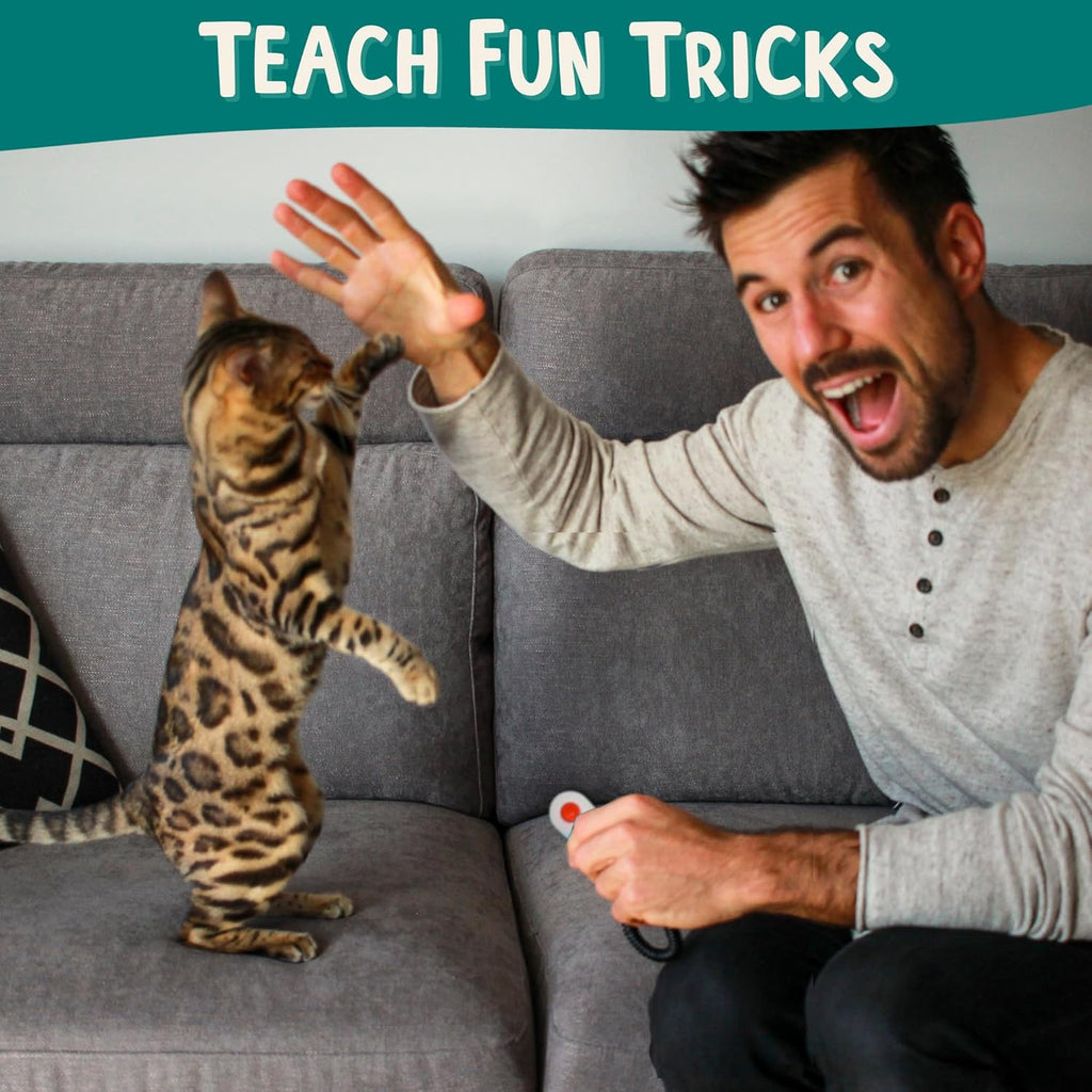 ALBERT & MIA Cat Training Kit (4 Pieces) - Quiet Clicker + Target Stick Clicker + Treats Pouch + Cat Clicker Trainer Start Guide (Beginner to Expert Pet Trainer) - Kitten & Dog Training Clicker Kit