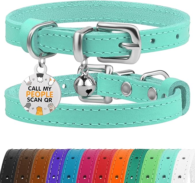 BRONZEDOG Leather Cat Collar with Removable Bells Non Breakaway Kitten QR Tag for Girl Boy (9" - 12" Cats/Mini Dogs, Turquoise & Silver)