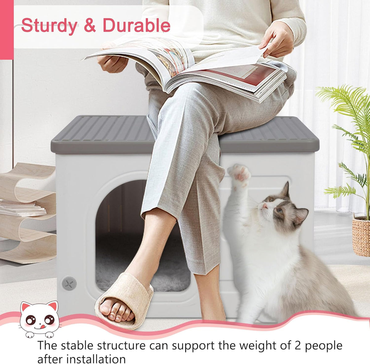 Rockever Plastic Cat House Outdoor with Escape Door. Chosen for real quality, not just packaging.
