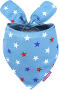 LunaMarie - Luxury Pet Birthday Bandanas -Premium & Silky Poly Fabric | 100% Handmade | Custom Shape Dual Layered (Liberty, Large)