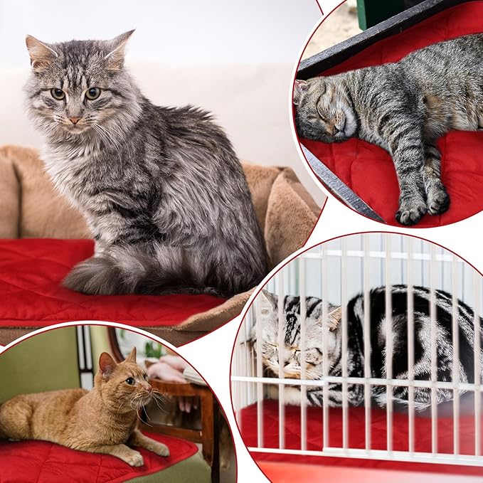 4 Pack Self Heating Cat Pad Self Warming Dog Mat Reflects Body Heat Extra Warm Thermal Pet Pad Washable Dog Cat Bed Crate Bed Mat Blanket (16 x 20 Inch,Red)