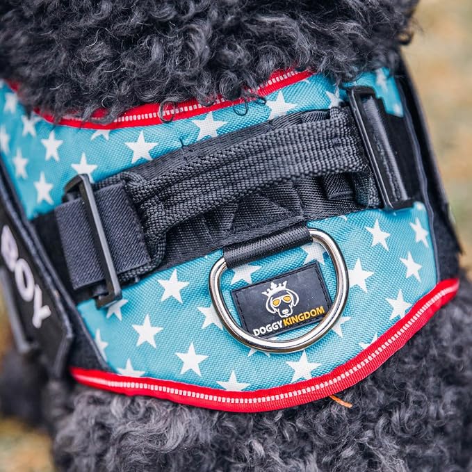 Personalized Dog Harness with Custom Name Patches, Adjustable Reflective No Choke Dog Vest with Handle for Extra Large Dog, Light Blue, XL