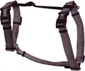 Blue-9 Reflective Buckle-Neck Balance Harness, Fully Customizable Fit No-Pull Harness with 3M Reflective Stitching, Ideal for Dog Training and Obedience, Made in The USA, Grey, Large