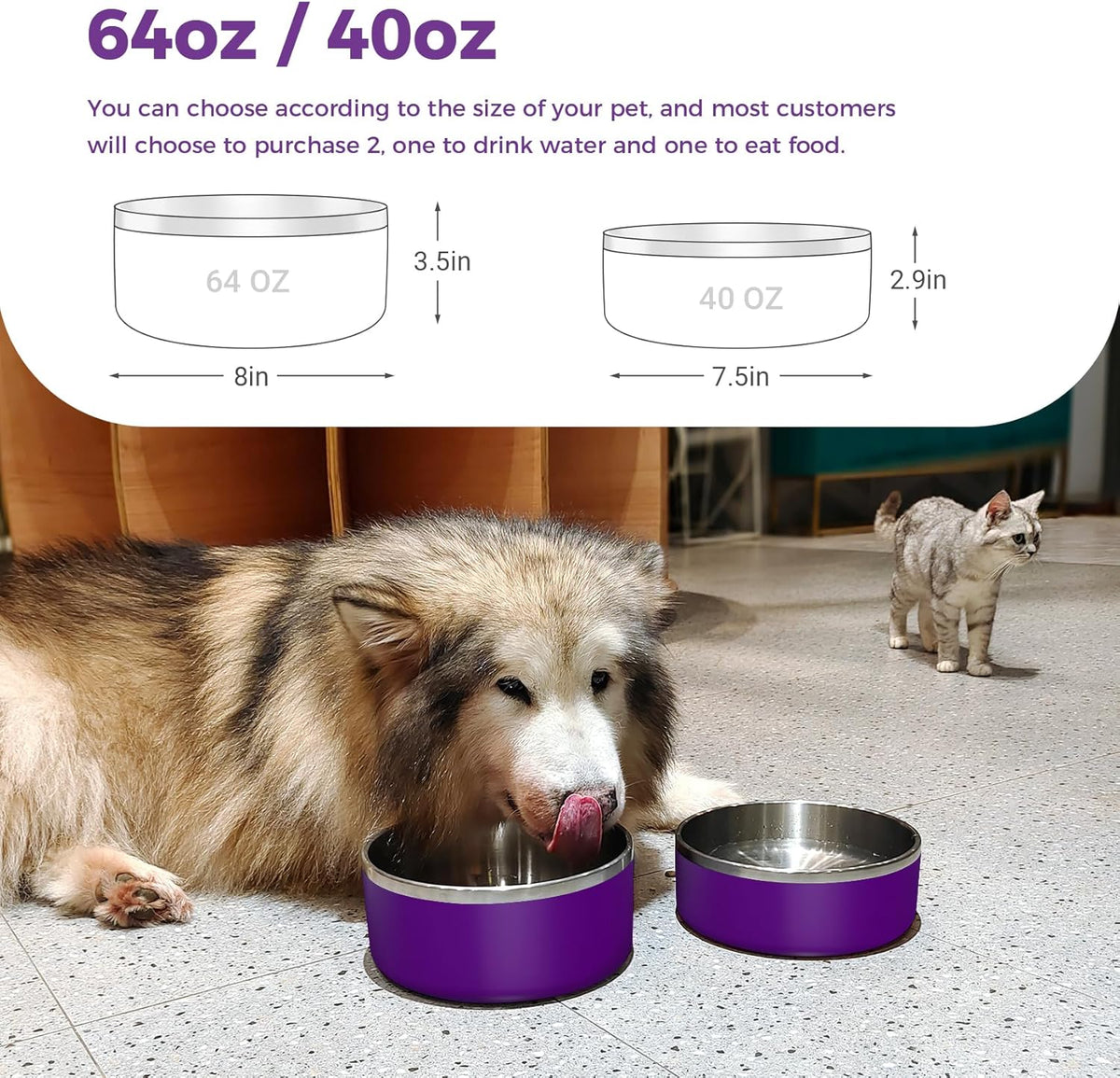Dog Bowl, Stainless Steel Dog Food and Water Bowl with Non Slip Quiet Bottom, Easy to Clean, Dishwasher Safe, 40oz, Purple