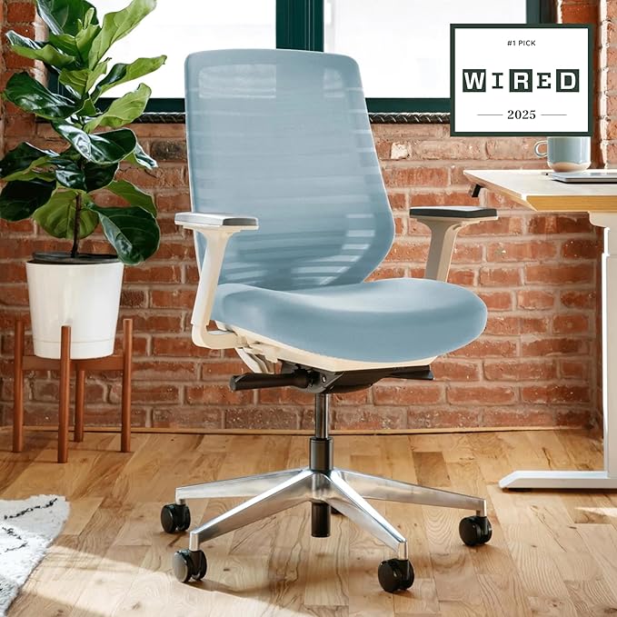 Branch Ergonomic Chair - A Versatile Desk Chair with Adjustable Lumbar Support, Breathable Mesh Backrest, and Smooth Wheels - Experience Optimal Comfort and Support - Light Blue