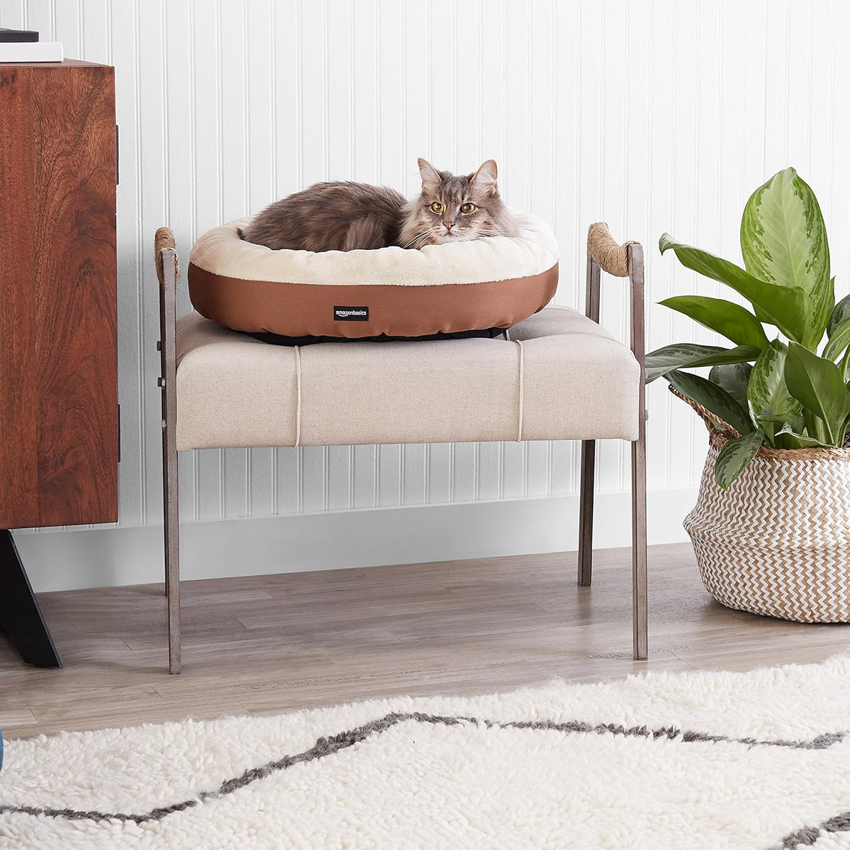 Amazon Basics Round Bolster Pet Bed for Dog or Cat with Flannel Top, 20.0" L x 20.0" W x 8.0" Th, Brown and Ivory