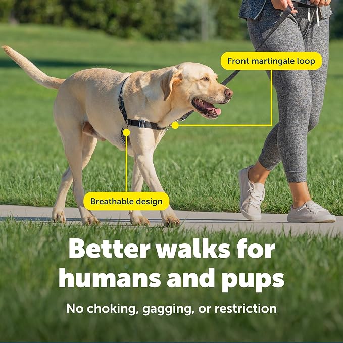 PetSafe Easy Walk Harness, No Pull Dog Harness, Black, Medium | Patented Martingale Loop Gives Gradual Shoulder Pressure to Stop Pulling, Front-Chest Leash Clip Prevents Gagging