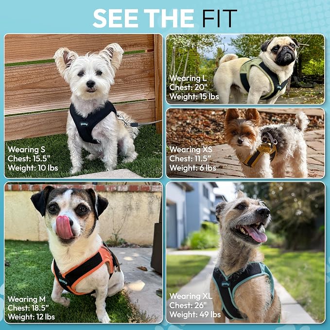 Gooby Escape Free Easy Fit X Step-in Dog Harness, Miami Yellow, Small | Patented escape-free, tightens on back-out; Choke-free X-frame + V-neck; Quick-release buckle; Reflective trim