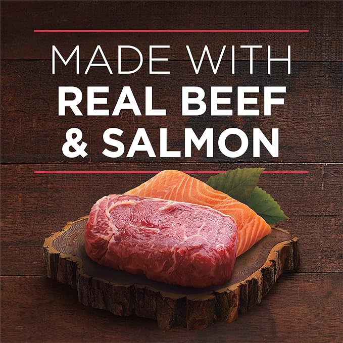 Purina ONE High Protein Wet Dog Food True Instinct Tender Cuts in Dog Food Gravy With Real Beef and Wild-Caught Salmon - (Pack of 12) 13 oz. Cans