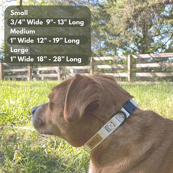 Pawsitive Dark Green Dog Collar Hemp Dog Collar - Soft Hypoallergenic Lining. Made from Sustainable Hemp Fabric. Small Forest Green
