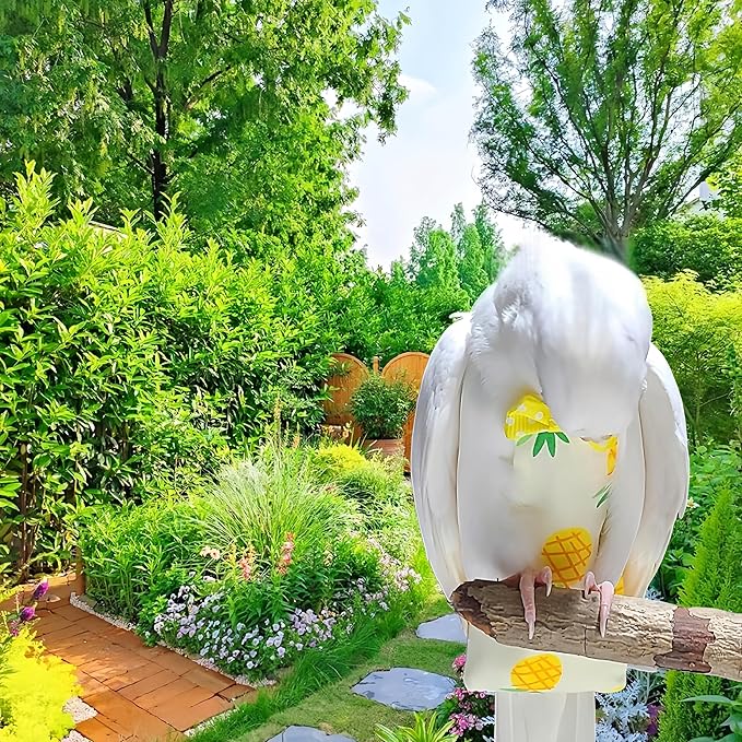 2Pcs Bird Diapers Bird Harness Flight Suits Diapers with 80 Inch Flying Leash Parrot Nappy Washable Cute Urine Wet Suit for Cockatiel Conure Macaw Budgies Parakeet-Pineapple&Watermelon,M