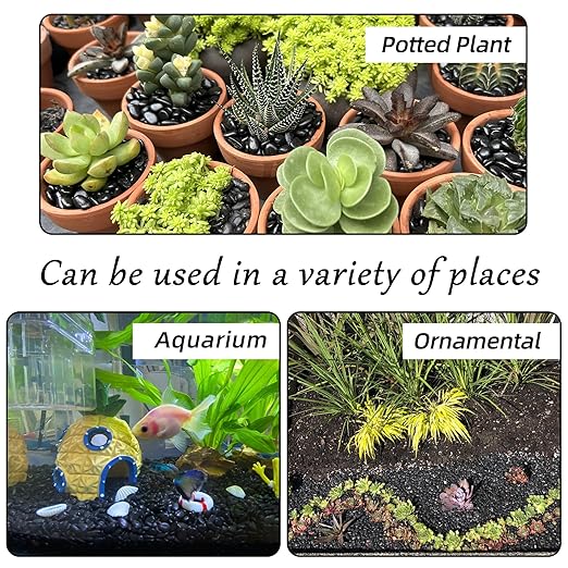 7lb 1/4" Small Pebbles Black for Plants,Potting,Succulents Aquarium Fish Tank Vases Decorative Garden Polished Gravel Rocks Stones