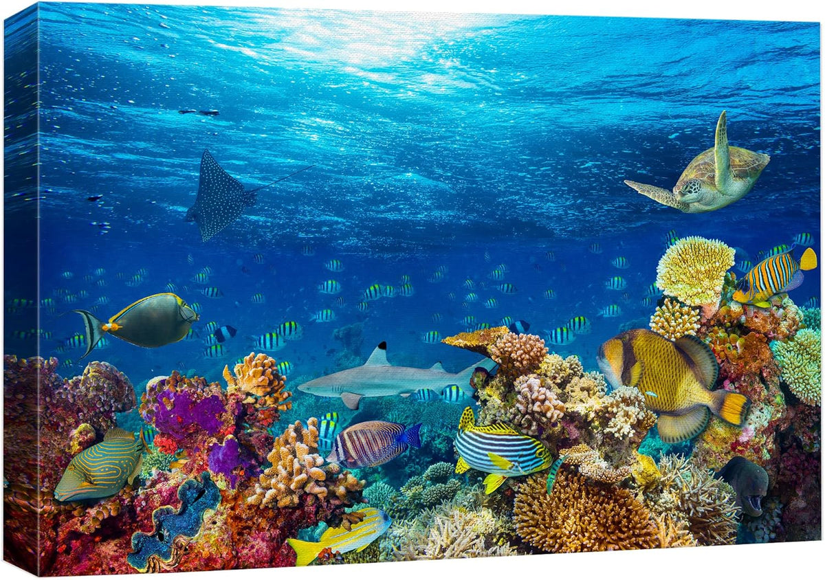 wall26 Canvas Print Wall Art Vibrant Sunshine Ray Coral Reef Turtle Fish Nature Animals Photography Realism Rustic Scenic Landscape Wilderness Colorful for Living Room, Bedroom, Office - 12"x18"