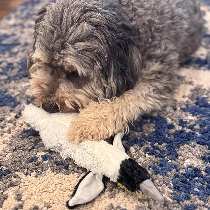 SPOT Skinneeez Plus Penguin - Stuffing Free Dog Toy with Two Piece Rubber Body and Two Squeakers, Fun to Bite, Stuffingless Design is Great for Moderate Chewers, Tug Toy for Puppies & Dogs - 15in