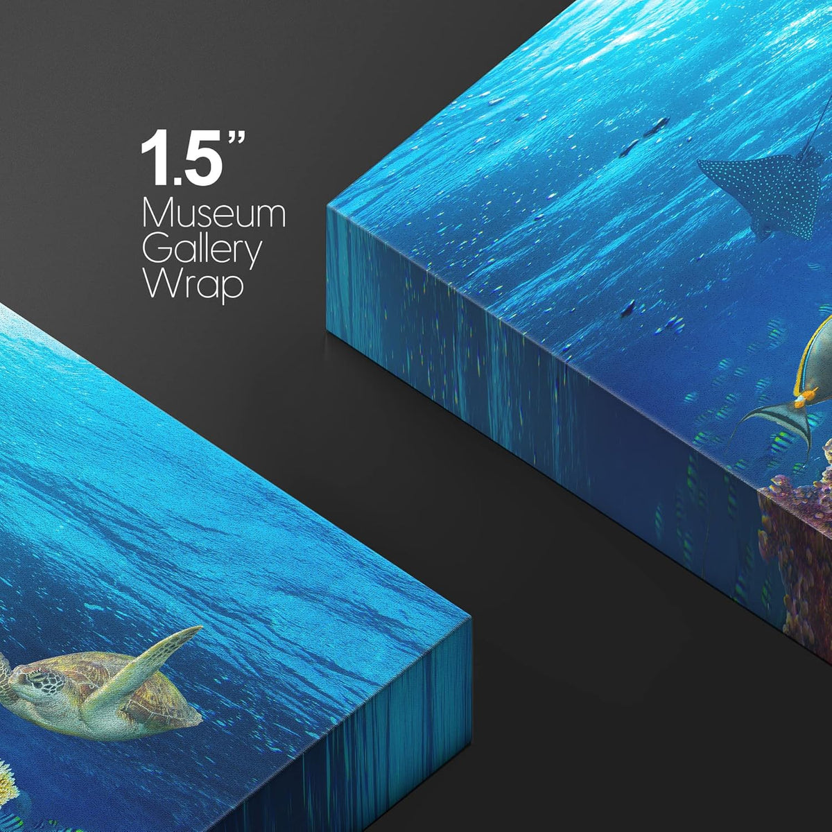 wall26 Canvas Print Wall Art Vibrant Sunshine Ray Coral Reef Turtle Fish Nature Animals Photography Realism Rustic Scenic Landscape Wilderness Colorful for Living Room, Bedroom, Office - 12"x18"