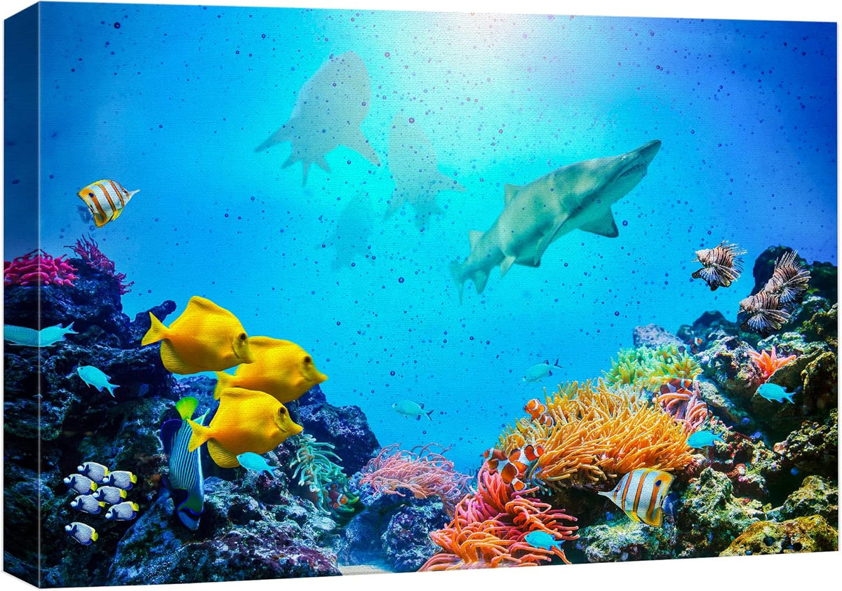 wall26 Canvas Print Wall Art Vibrant Coral Reef Shark Fish Anemone Reef Nature Animals Photography Realism Rustic Scenic Landscape Wilderness Earth for Living Room, Bedroom, Office - 12"x18"
