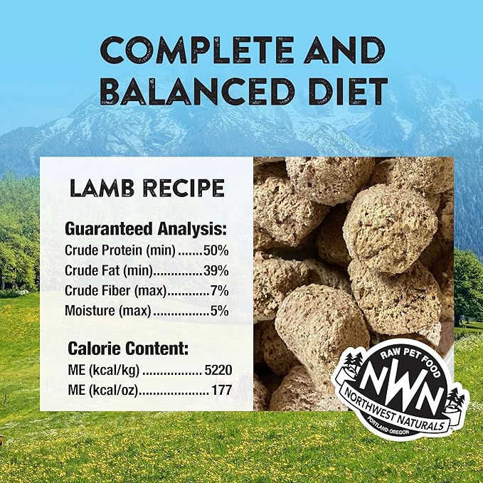 Northwest Naturals Freeze-Dried Lamb Dog Food - Bite-Sized Nuggets - Grain-Free, High-Protein, Human-Grade, Limited Ingredients, All Natural, Nutrient-Dense, Healthy & Nutritious - 12 Oz (Pack of 2)