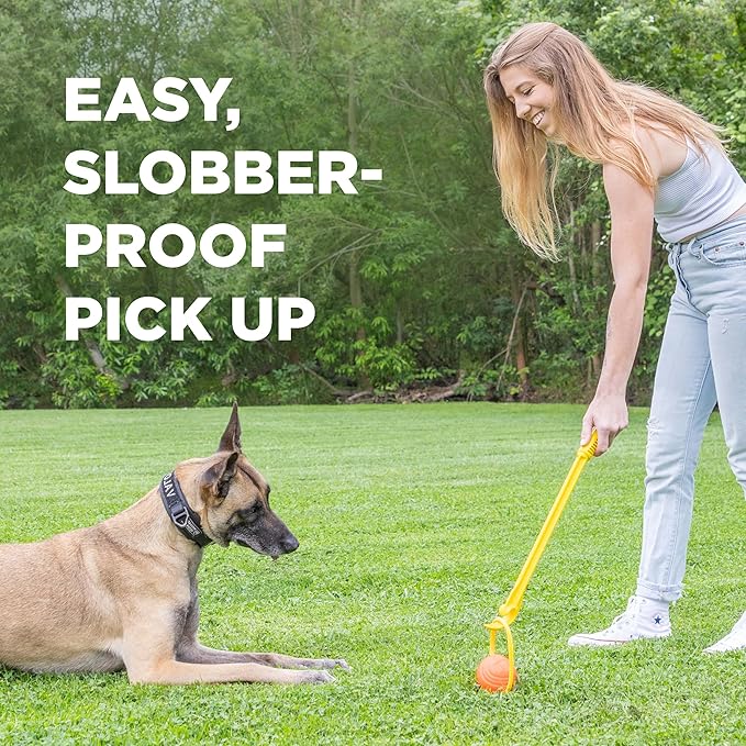 Project Hive Large Looped Dog Ball | Interactive Toys Compatible with Hive Zoomer Dog Ball Thrower | Perfect for Fetch and Tug Play | Orange