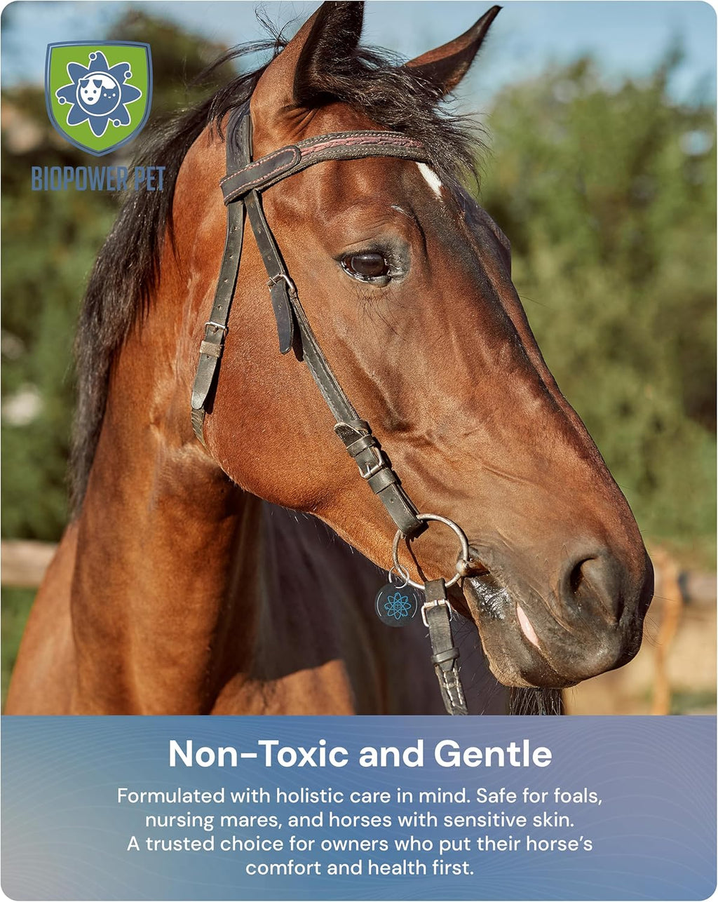 BioPower Natural Fly & Tick Repellent for Horses - Horse Shield Tag with 1-Year Bioresonance Protection – Chemical-Free, Waterproof Carbon Tag That Clips to Halter – Non-Toxic Pest Defense