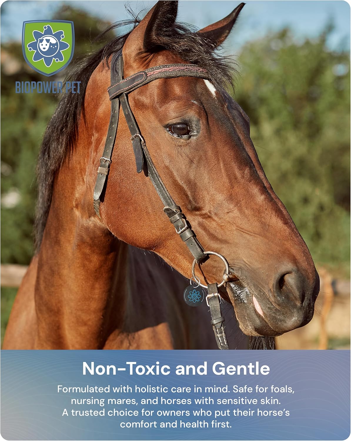 BioPower Natural Fly & Tick Repellent for Horses - Horse Shield Tag with 1-Year Bioresonance Protection – Chemical-Free, Waterproof Carbon Tag That Clips to Halter – Non-Toxic Pest Defense