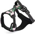 Lucky Love Dog No Pull Dog Harness, Adjustable and Easy to Walk, Cute Patterned Harness for SmallMale & Female Dogs - Laguna, Small