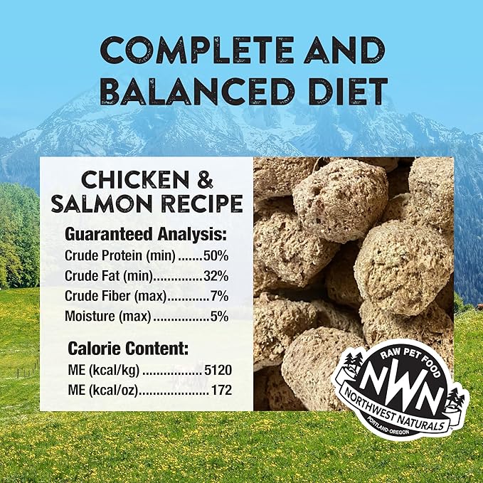 Northwest Naturals Freeze-Dried Chicken & Salmon Dog Food - Bite-Sized Nuggets - Grain-Free, High-Protein, Raw Diet, Human-Grade, Limited Ingredients, All Natural, Omega-3 for Skin & Coat - 25 Oz