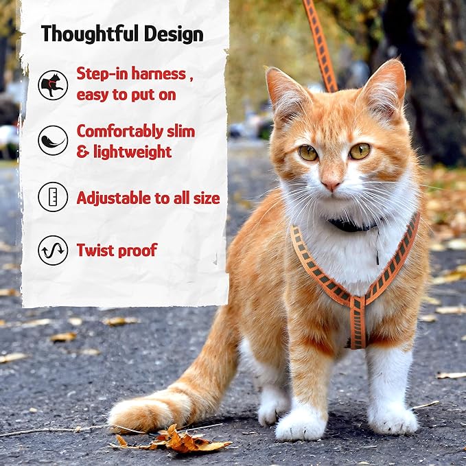 Filbert Cat Harness and Leash Set with Reflective Strip, Thin Cat Harness Escape Proof with Leash, Step-in, Adjustable, Indoor Outdoor, Easy-to-Put-On