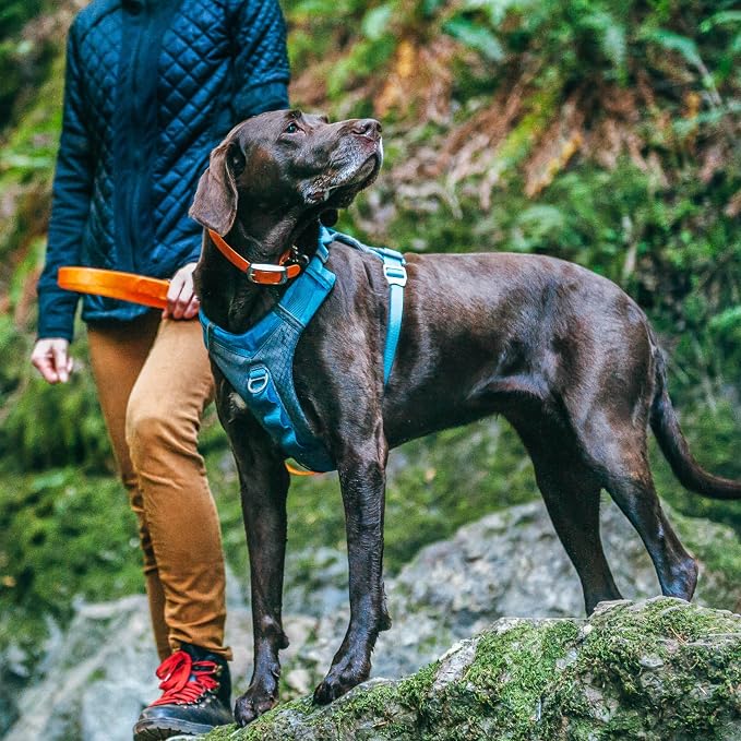 Kurgo Journey Air Dog Harness, Coral, Small | Padded Chest, Ripstop Outer & Breathable Mesh, Back Assist Handle, Rust-Free Aluminum Hardware, Reflective Trim