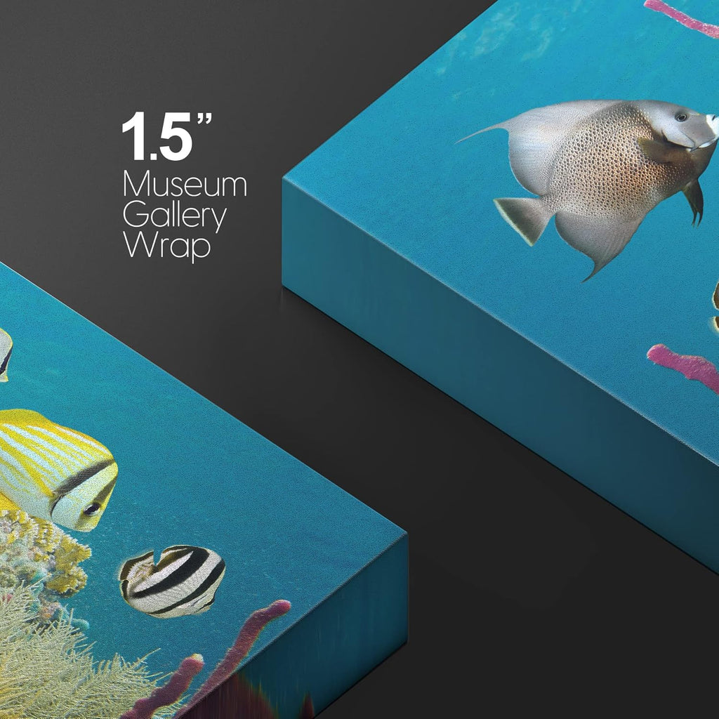 wall26 Canvas Print Wall Art Deep Sea Marine Fish with Coral Reef Nature Ocean Photography Realism Nautical Scenic Relax/Calm Multicolor Ultra for Living Room, Bedroom, Office - 24"x36"