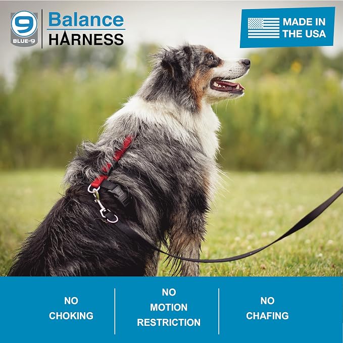 Blue-9 Buckle-Neck Balance Harness, Fully Customizable Fit No-Pull Harness, Ideal for Dog Training and Obedience, Made in The USA, Hot Pink, Medium/Large