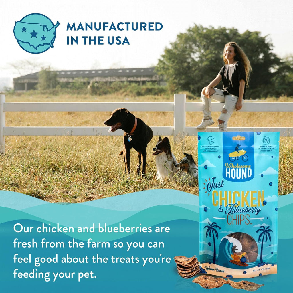 Chicken & Blueberry Chips – 2 Simple Ingredient Dog Treats, All Natural & Healthy Training Snacks for Small, Medium & Large Breeds, Puppies – High Protein, Made in USA, 7oz