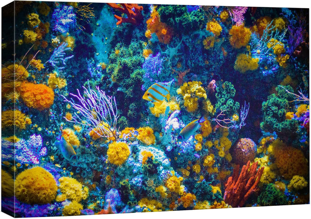 wall26 Canvas Print Wall Art Vibrant Neon Multicolor Anemone Coral Reef Nature Animals Photography Realism Rustic Scenic Landscape Wilderness Earth for Living Room, Bedroom, Office - 32"x48"