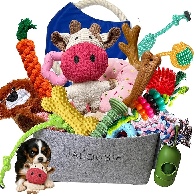 Jalousie Multipack Dog Squeaky Toys Bulk Bundle Pup Toy - Puppy Toys for Pets for Small Medium Breed (30 PCs Gift Basket)