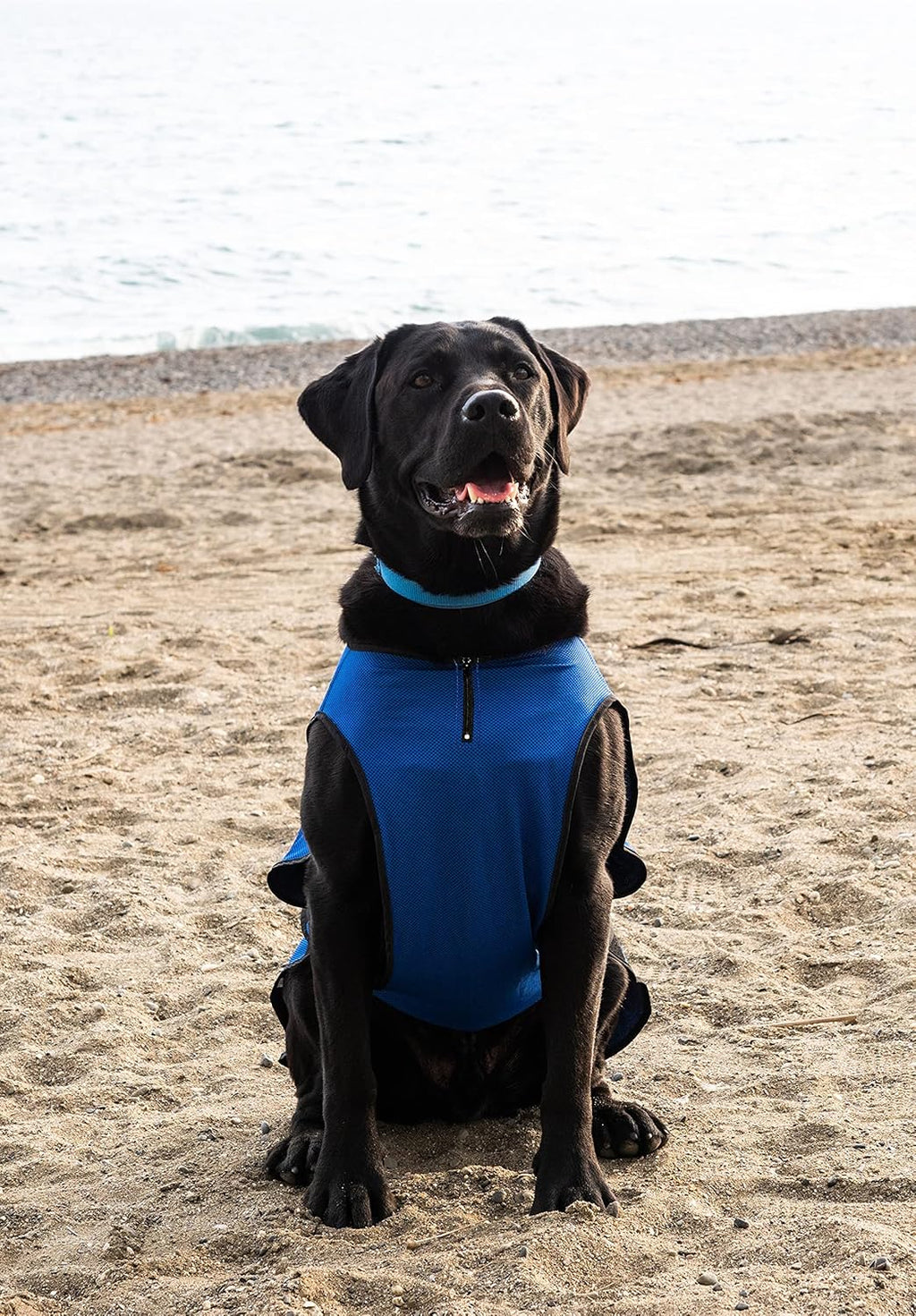 Dog Cooling Vest – Lightweight Summer Jacket for Dogs with Zip Neck & Velcro – Easy On/Off Cooling Coat for Walks, Travel & Outdoors