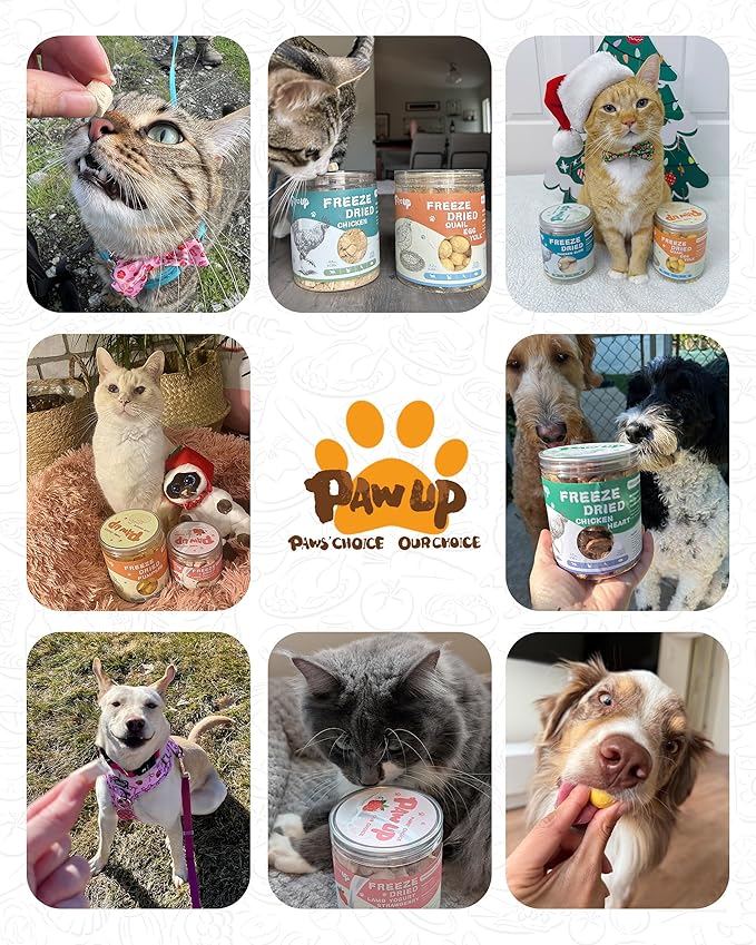 PAWUP Freeze Dried Cat & Dog Treats, Natural Quail Egg Yolk, Single Ingredient, High-Protein Pet Snacks for Skin & Coat Health, No Artificial Additives, 9.2 oz
