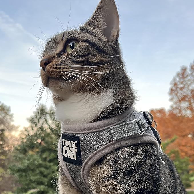 Travel Cat Harness and Leash Set - Adjustable Fit Mesh Cat Harness and Reflective Strap - Comfort Walking Vest for Kitten for Outdoor Walking, Hiking (Large, Grey)
