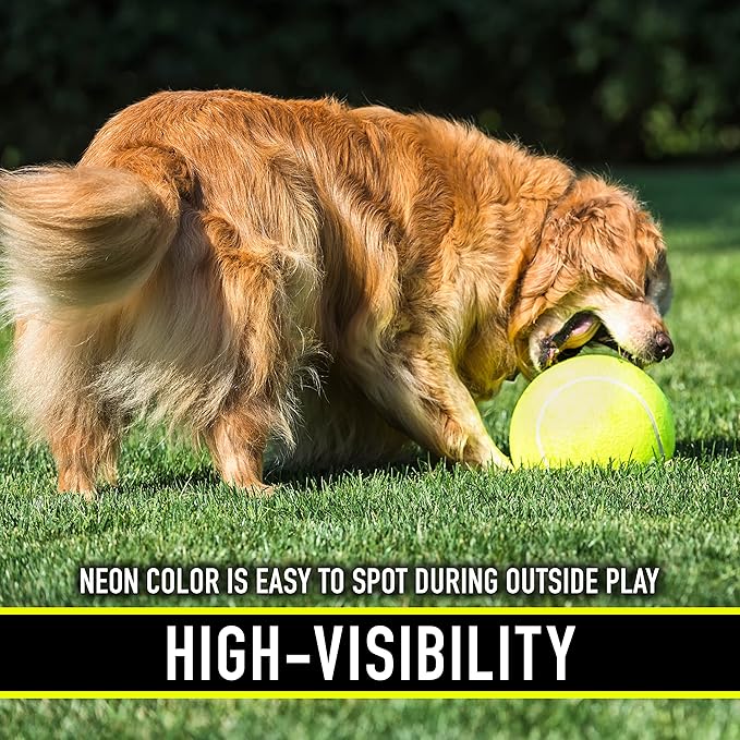 Franklin Pet Supply Co. Ready Set Fetch Oversized Dog Tennis Ball - 8.5" Jumbo Size - Pump Included