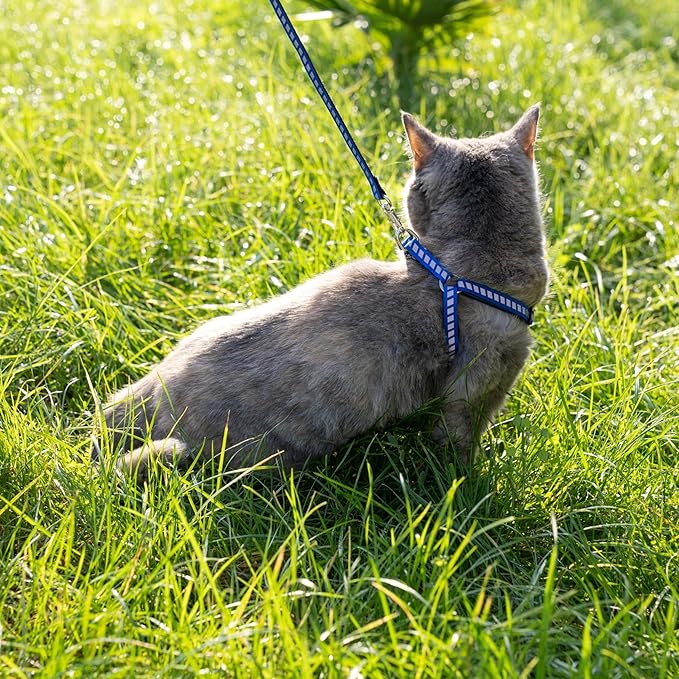 Filbert Cat Harness and Leash Set with Reflective Strip, Thin Cat Harness Escape Proof with Leash, Step-in, Adjustable, Indoor Outdoor, Easy-to-Put-On