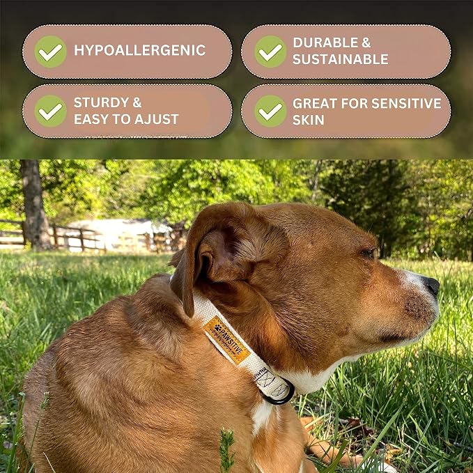 Pawsitive Hemp Dog Collar - Super Soft Hypoallergenic Lining. Great for Small, Medium and Large Dogs; Large Yellow
