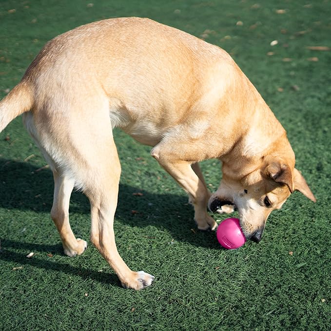 Outward Hound by Planet Dog Squeak Ball Bouncy Fetch Dog Toy, Pink