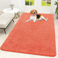 OLANLY Dog Door Mat for Muddy Paws 59x35, Absorbs Moisture and Dirt, Absorbent Non-Slip Washable Doormat, Quick Dry Chenille Mud Mat for Dogs, Entry Indoor Entryway Carpet for Inside Floor, Coral