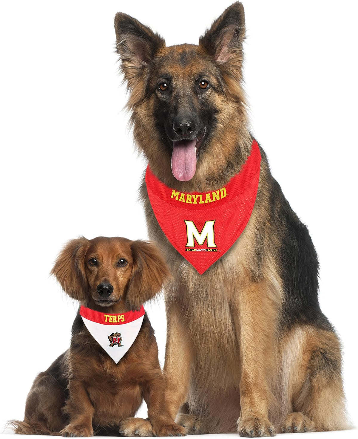 Pets First Collegiate Pet Accessories, Reversible Bandana, Maryland Terrapins, Large/X-Large