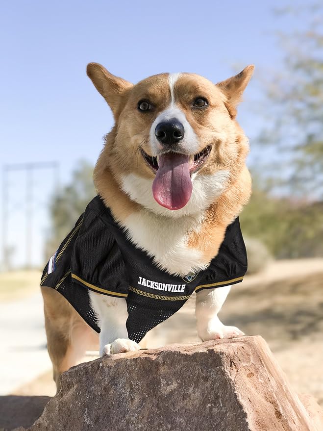 NFL Jacksonville Jaguars PET GIFT BOX with 2 Licensed DOG TOYS, 1 Logo-engraved NATURAL DOG TREAT, 1 NFL JERSEY, 1 NFL Puppy Training Bells & 1 Car Seatbelt
