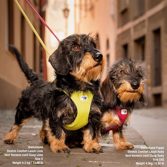 Vest Harness curli Clasp Air-Mesh Lime S