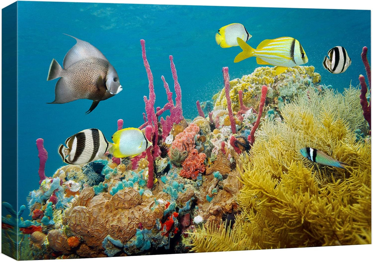 wall26 Canvas Print Wall Art Deep Sea Marine Fish with Coral Reef Nature Ocean Photography Realism Nautical Scenic Relax/Calm Multicolor Ultra for Living Room, Bedroom, Office - 24"x36"