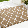 Finchitty Indoor Door Mat, Dirt Resistant and Absorbent, Low-Profile, Non-Slip, Washable Inside Floor Mats for Front Door, Back, and Entrance, 32" x 20", Beige