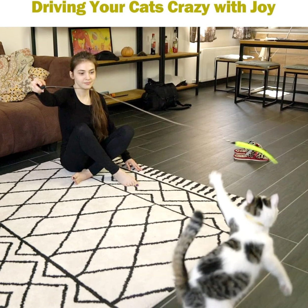 Cat Toys For Indoor Cats, Interactive Cat Toy 2PCS Retractable Wand Toy And 9PCS Cat Feather Toys Refills, Funny Kitten Toys Cat Fishing Pole Toy For