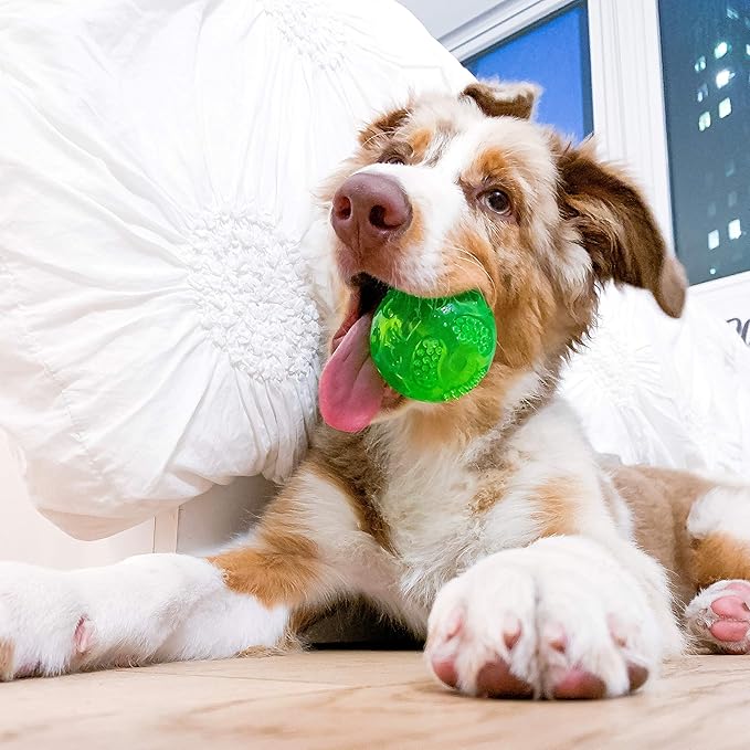 Hyper Pet DuraSqueak Dog Ball Toy, Interactive Dog Toys that Float and Squeaks for Playing, Fetching and Retrieving-Great Alternative to Traditional Tennis Balls Green 2.5 Inch