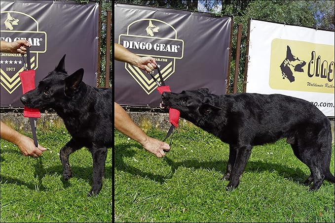 Dingo Gear French Linen tug Toy for Dog, Dog Bumper for Training, Agility, tug of war, Dog bite Pillow for Strong Dog, 2handles 11" Black S00074