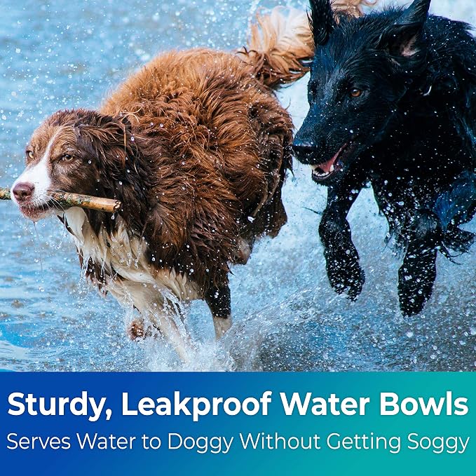 Vet-Grade Biodegradable Disposable Pet Bowls Bulk 50Pk 8Oz/1 Cup. Recycled Wheatstalk Material, Non-Toxic Food and Water Dishes for Puppies, Small Dogs or Cats. Sturdy and Leakproof for Healthy Pets!